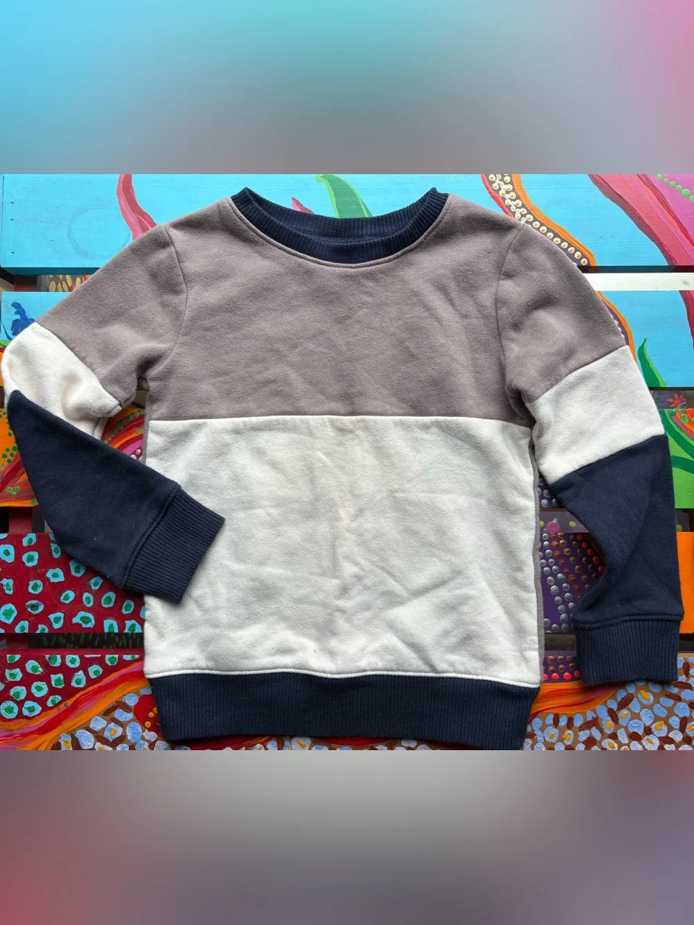 The Children’s Place Colorblock Crewneck Sweatshirt Size 4T